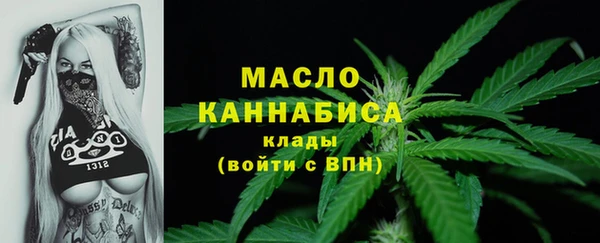 ECSTASY Вяземский